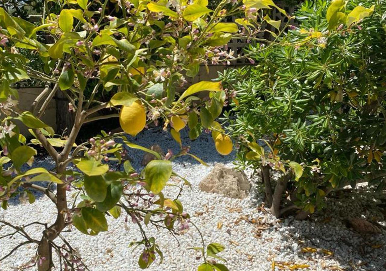 Holiday Villa Moraira Kültér fotó